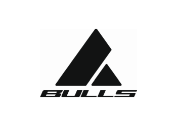 logo Bulls